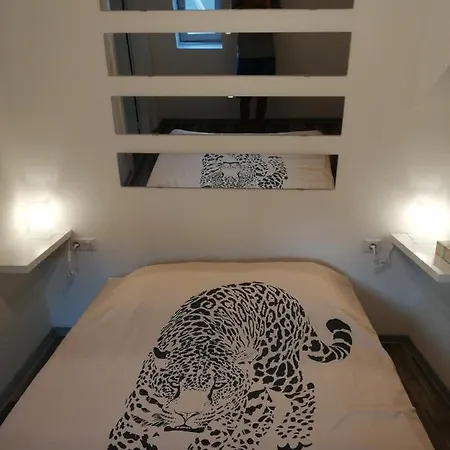 Magnifique Plein Centre De Apartment