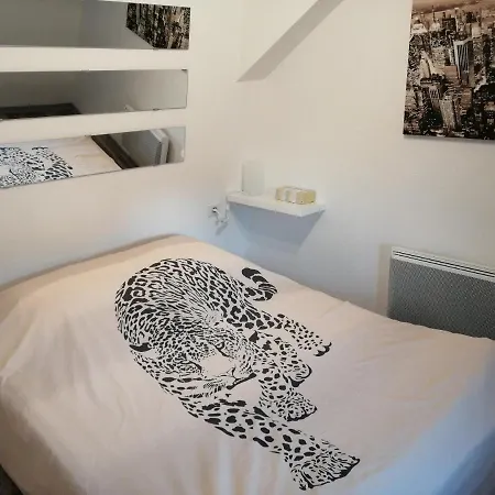 Magnifique Plein Centre De Apartment *